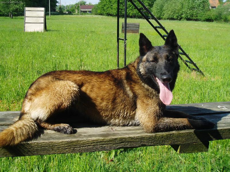 Foto: Arka Ostrý Lagar