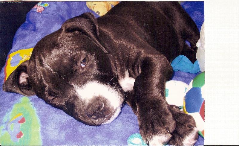 Foto: henry-.................