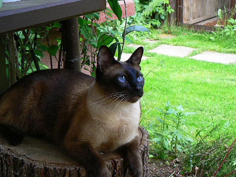 Foto: Jeho veličenstvo.-Jeho veličenstvo.