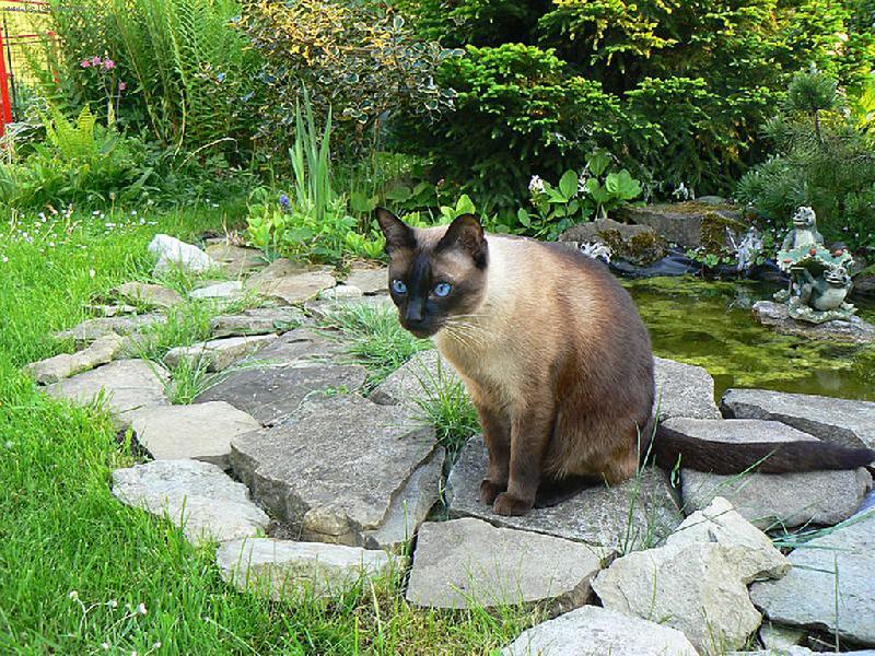 Foto: u jezírka-u jezírka