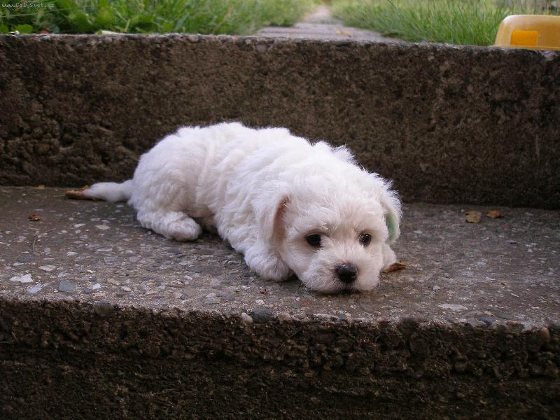 Foto: Caesar Max-Odpočinek