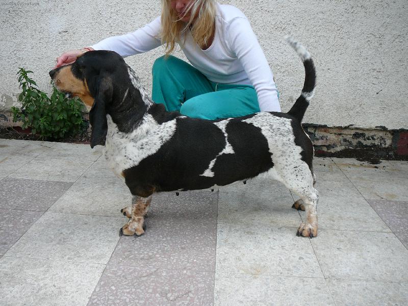 Foto: Abigail Pascale Damville-prosím majitelku Enrika,ozvěte se na mejl dankadolezalova@saznam.cz