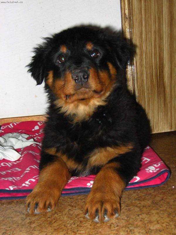 Foto: já jsem Sany-Sany