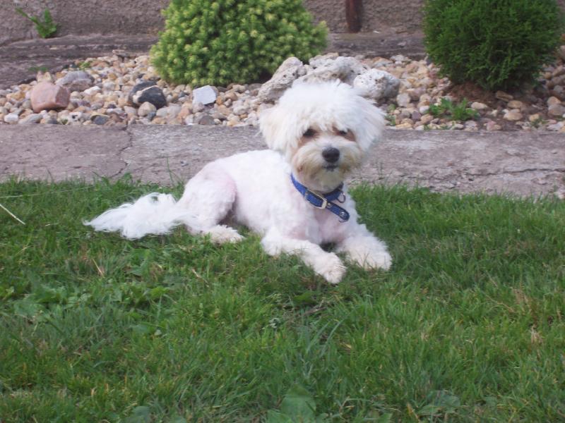 Foto: Tim s novým zástřihem