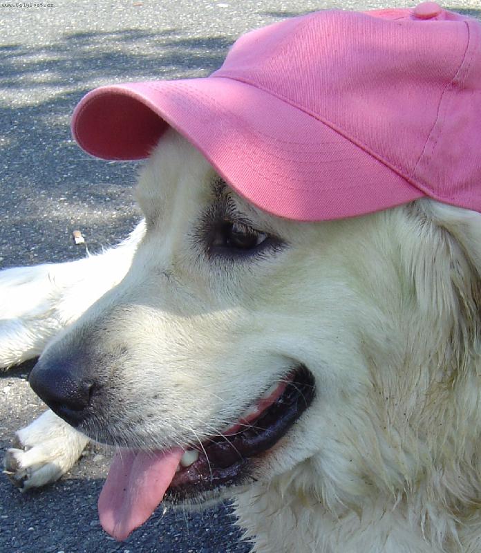 Foto: Bronwynka s kšiltovkou-Bronwyn de Bismilláhi ;))