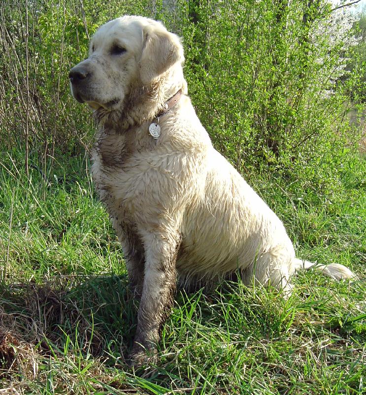 Foto: Špinavá Broňule-Bronwyn de Bismilláhi