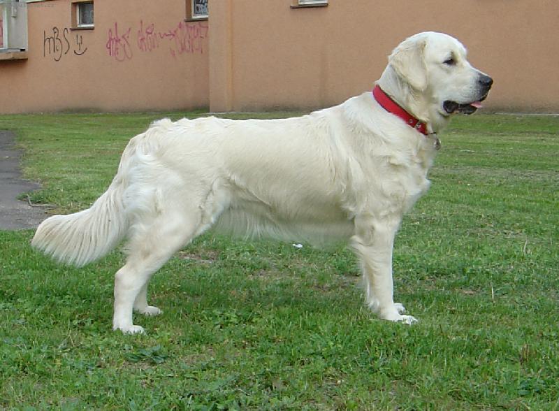 Foto: Volný postoj-nebo něco jako pokus o něj