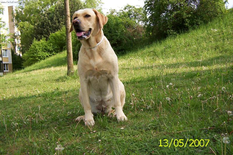 Foto: Bára-opět vyhlíží co se děje