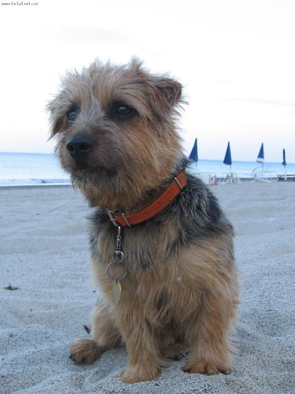 Foto: Naše Lady-Lady