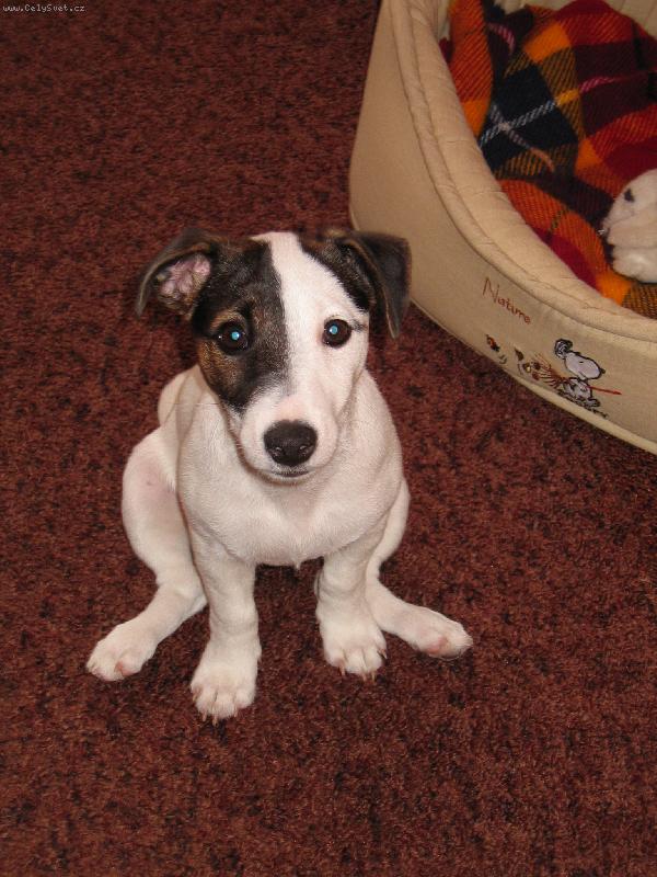 Foto: Annie dělá abičku