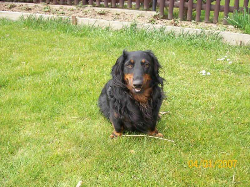 Foto: Jeff ze Štěkotu