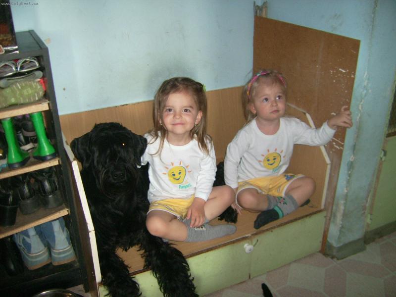 Foto: Cassi z Polabí Boner a dvojčátka-Dvojčátka rády chodí na sedačku k naší Cassince