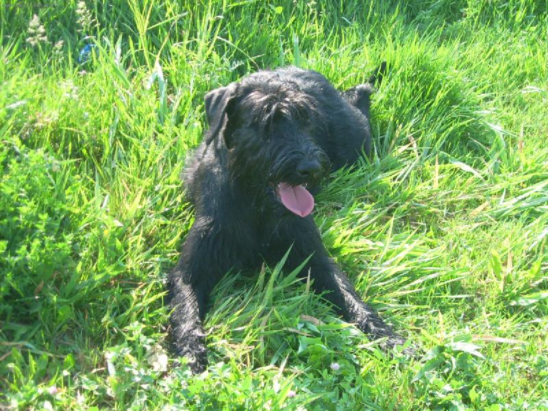 Foto: Xclamation Bitt Box-Trochu odpočinku po dlouhé procházce