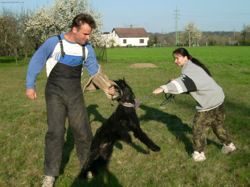 Foto: Cassi z Polabí Boner-co si takhle zakousat?