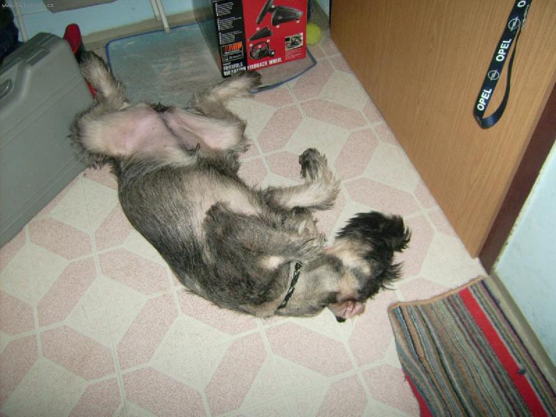 Foto: Cassandra Chov Pauli-Spánek udruje mládí.