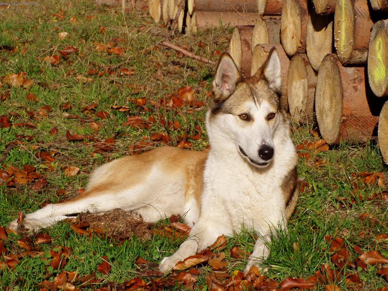 Foto: Akrym z Malinovského údolí