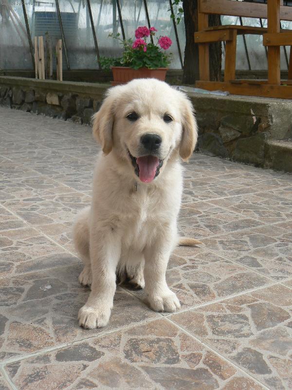 Foto: Jonášek na zahradě