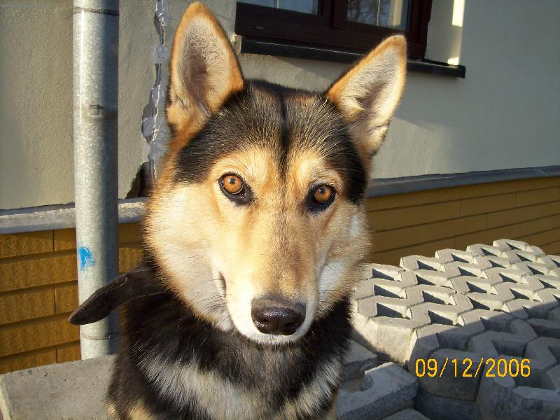 Foto: Kuuuuukkkk..-Moje Sára kouká