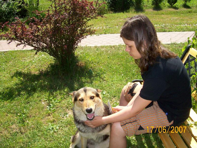 Foto: Už stááčíííí....-Vyčesávání moji Sáry..