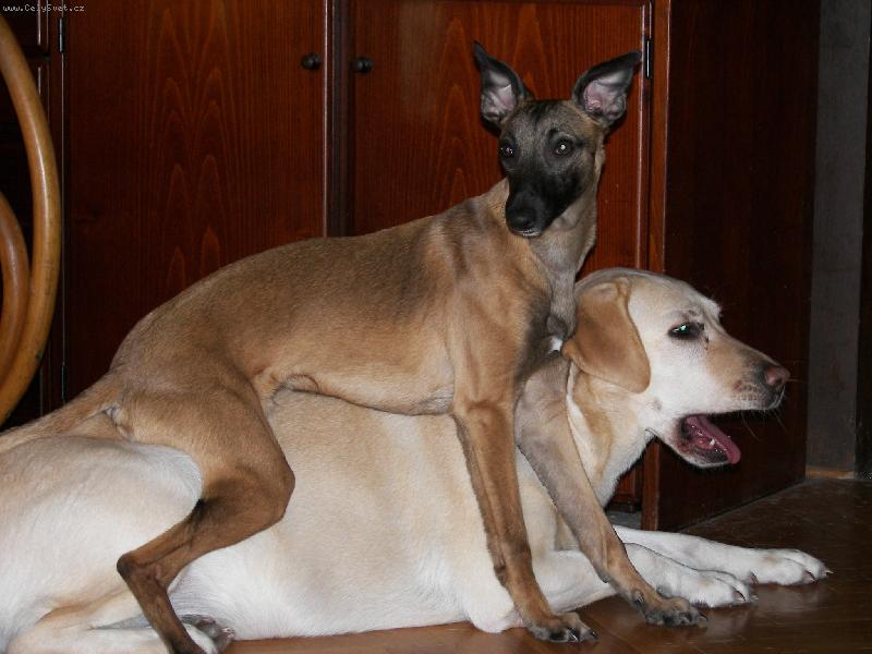 Foto: Proc si sedat na podlahu?-Kamosi