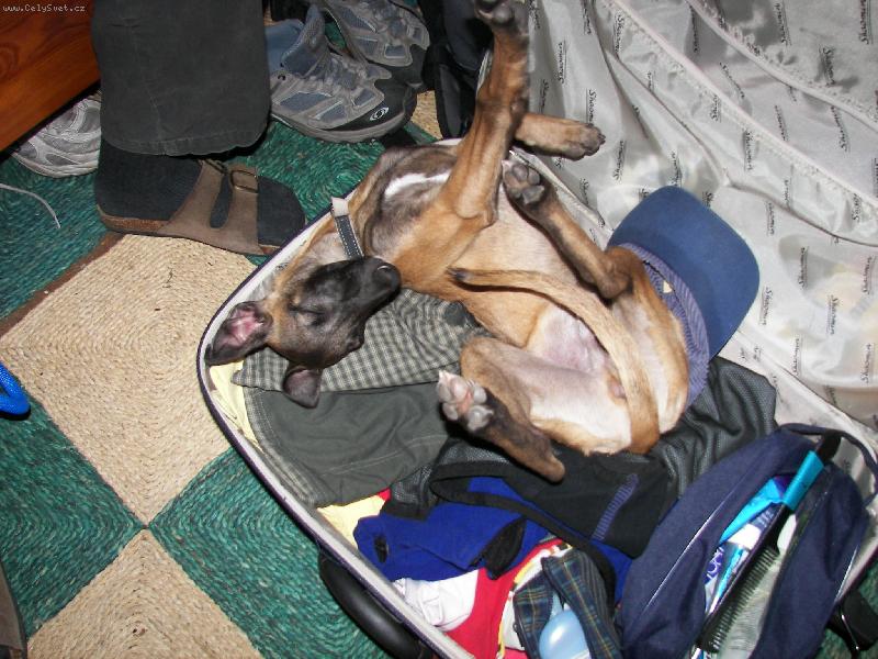 Foto: Badyan-I ja cestuji rad