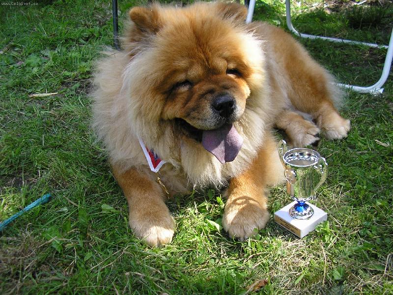 Foto: oblastní vítězka