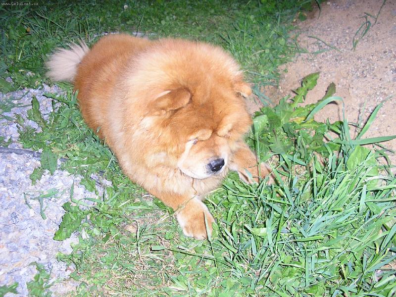 Foto: já si počkám,až vylezeš