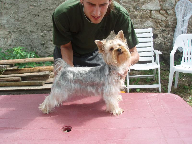 Foto: Příprava na výstavu