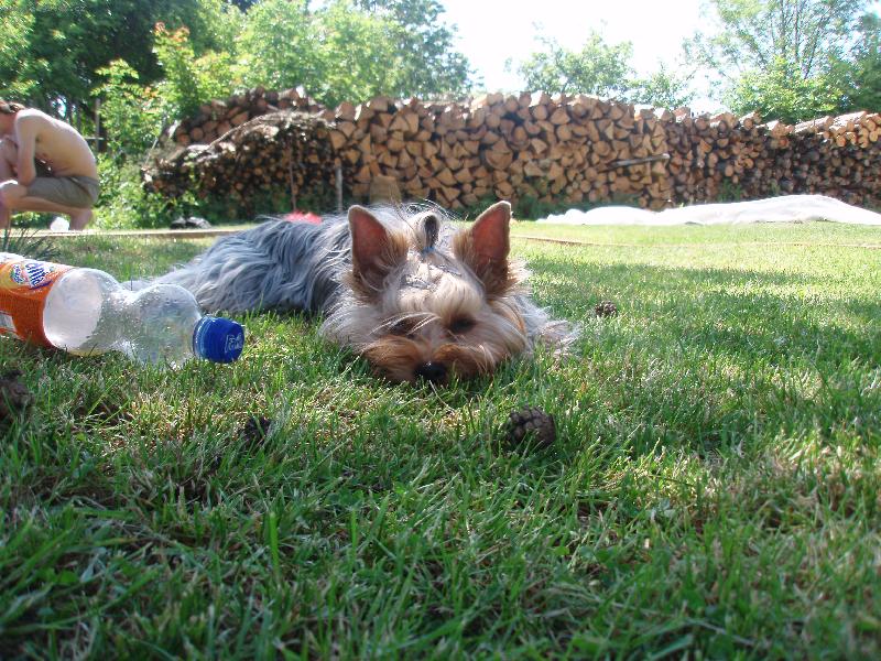 Foto: Neli-Odpočinek na zahradě