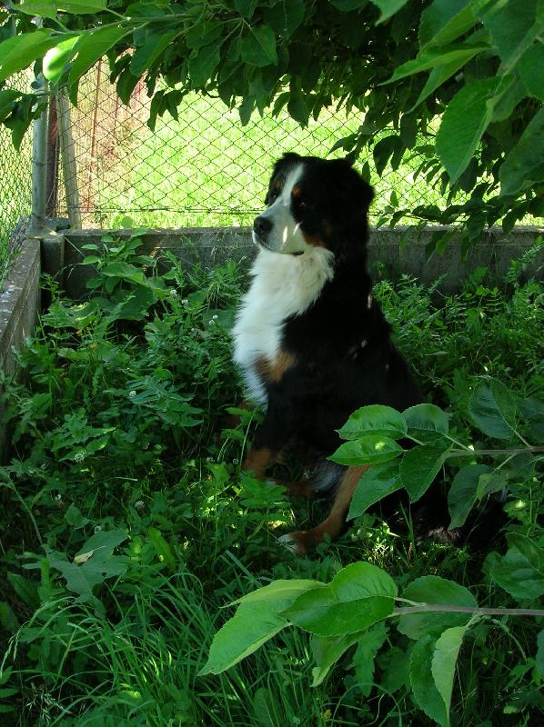 Foto: Akim-tady hlídám já!