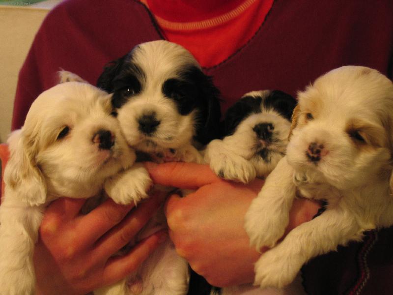 Foto: rodinka-no ale je nás,co?