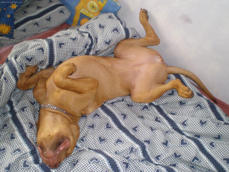 Foto: Sherry-hajííí