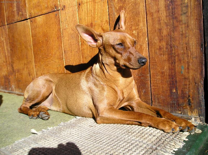 Foto: Mairra Marieta-siesta na sluníčku