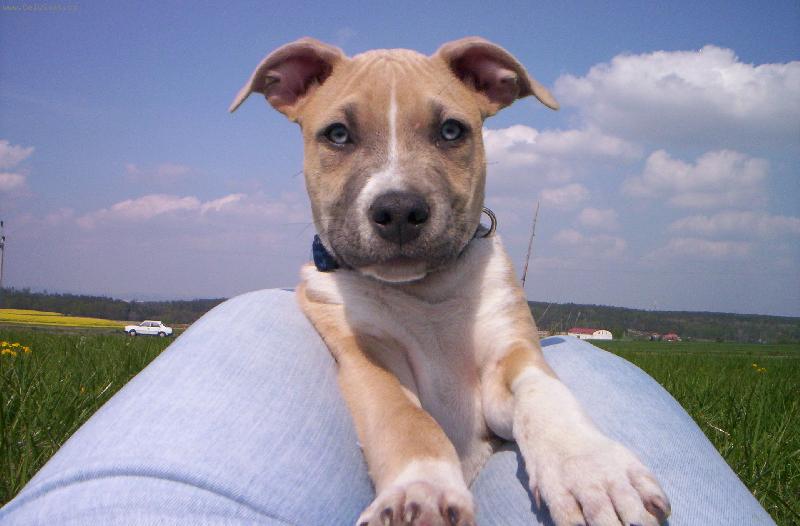 Foto: náš mazlíček