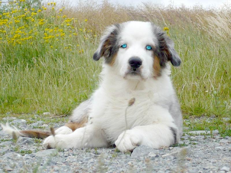 Foto: přímo-do očí