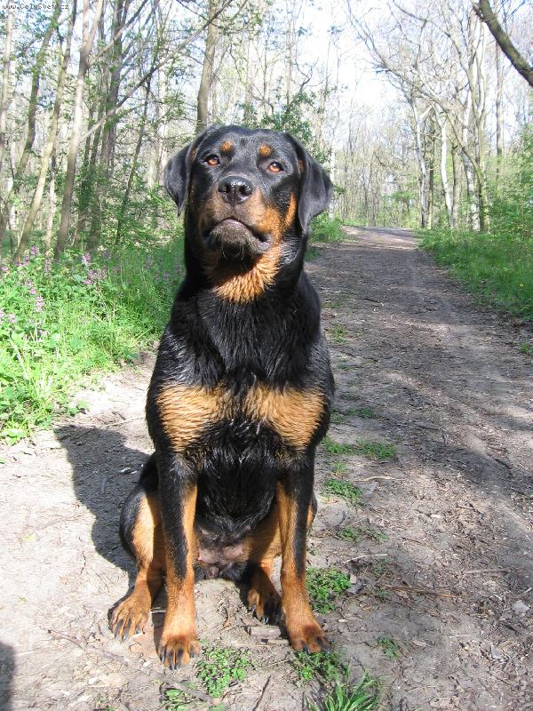 Foto: Paris-Pariska po koupání