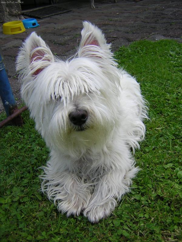 Foto: Když opravdu chci a mám náladu, jsem fotogenický