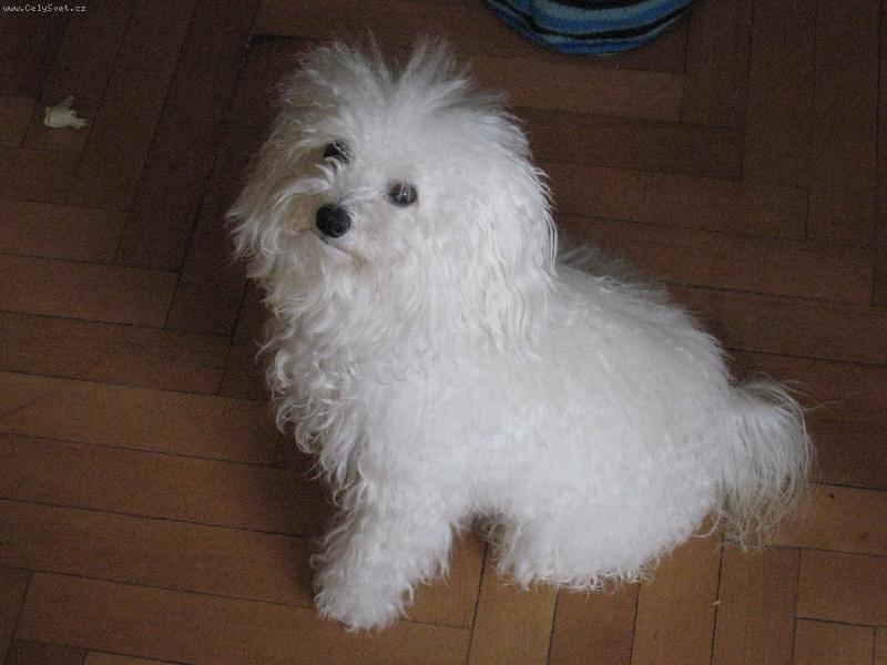 Foto: BethanyI-14-ti měsíční