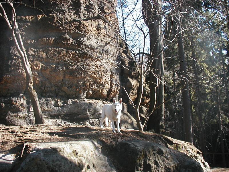 Foto: Jessynka na výletě