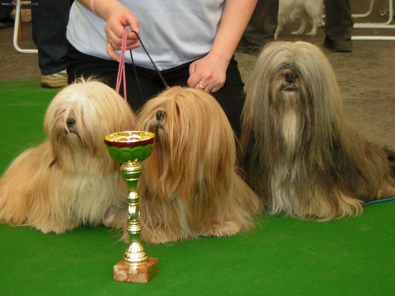 Foto: ...výstava...