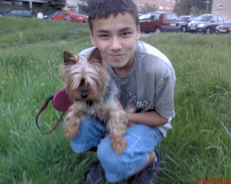 Foto: Miška s jesikou