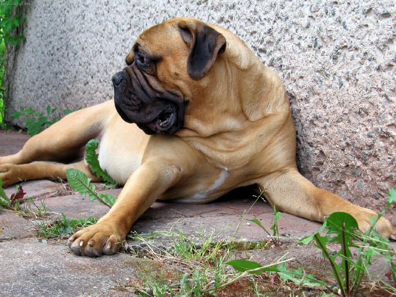 Foto: APOLLO BUARGA - GOLI��-APOLLO BUARGE