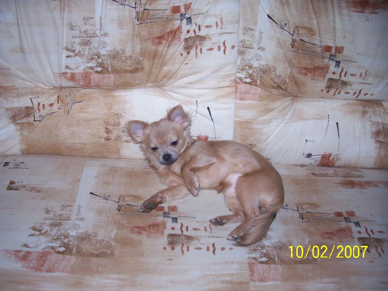 Foto: to je pohodička