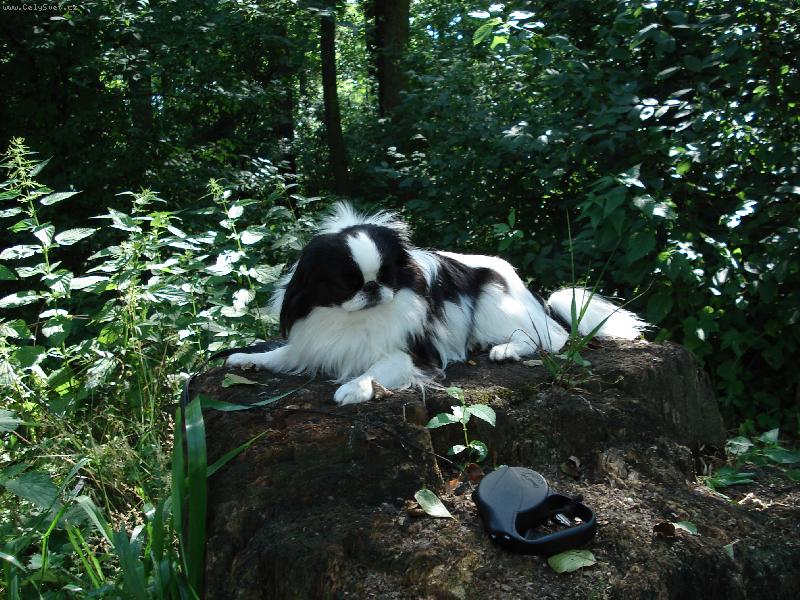 Foto: poslala jsem 3 fotky-do tří dnů nebyly zveřejněny