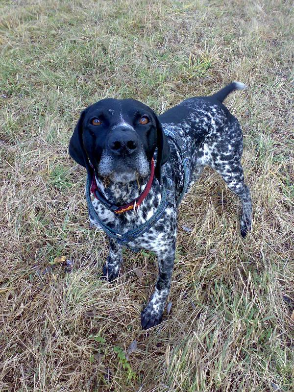 Foto: Dyk z Visálku