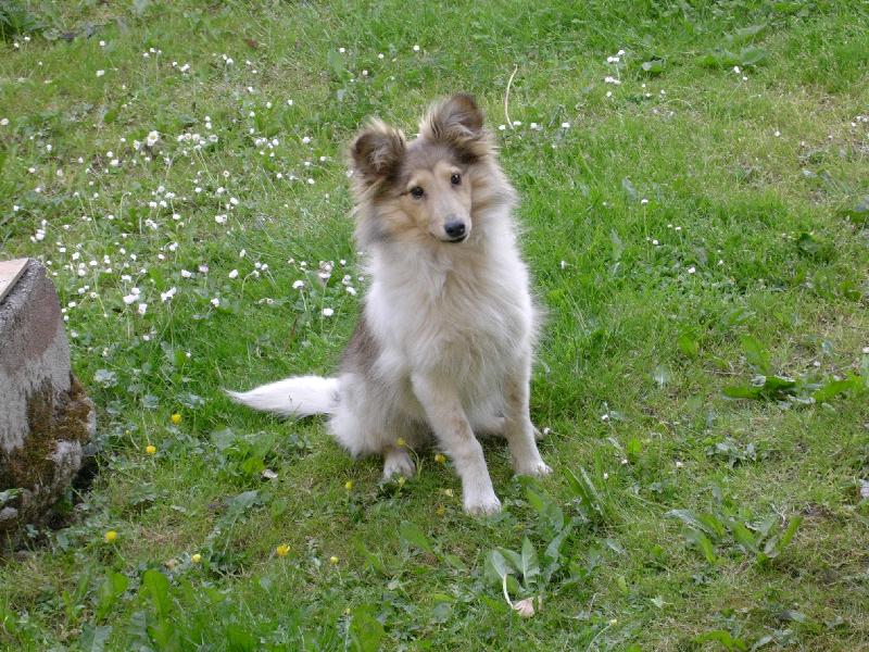 Foto: Mia-Co mi dáš ?