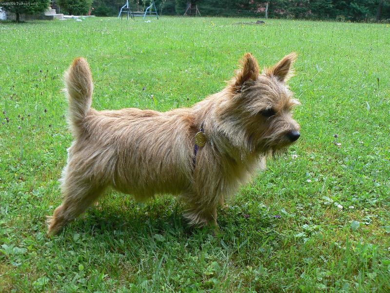 Foto: Jakub z Muškátové zahrady-Benny