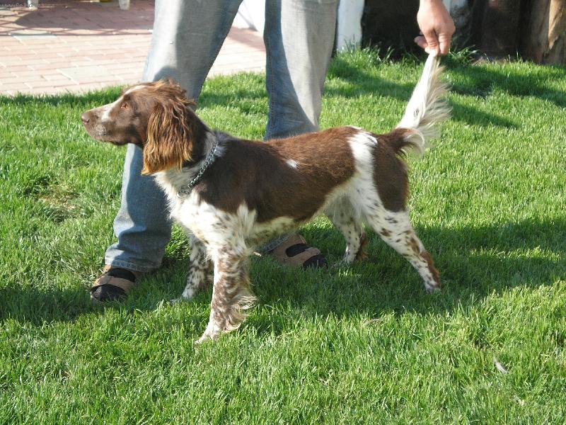 Foto: Arka z Loučské paseky