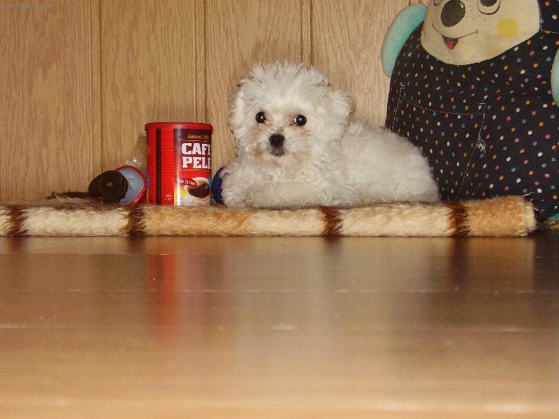 Foto: dá si se mnou někdo kávu?