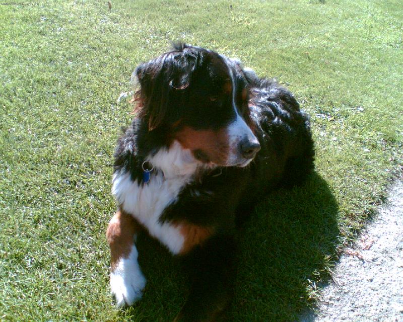 Foto: to je naše Cessy